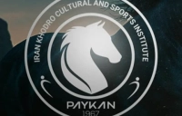 رونمایی از پیراهن پیکان؛ «آکوا» درخشان، ادای احترام به تاریخ و صنعت خودرو + عکس