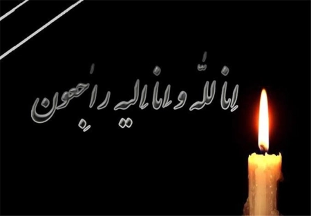 چهار رزمی کار به شهادت رسیدند