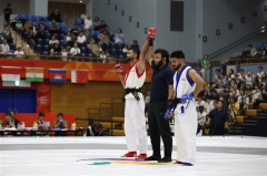فوتبال برتر