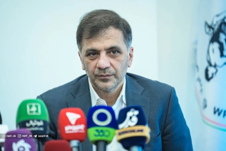کریمی: زیرساخت‌های فدراسیون کشتی در سطح بین‌المللی است