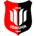 Utaş Uşakspor
