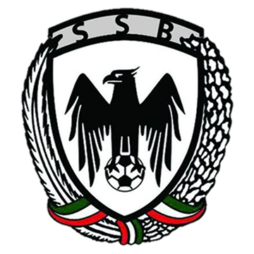 شاهین بندرعامری