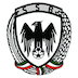 شاهین بندرعامری