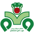 ذوب‌آهن